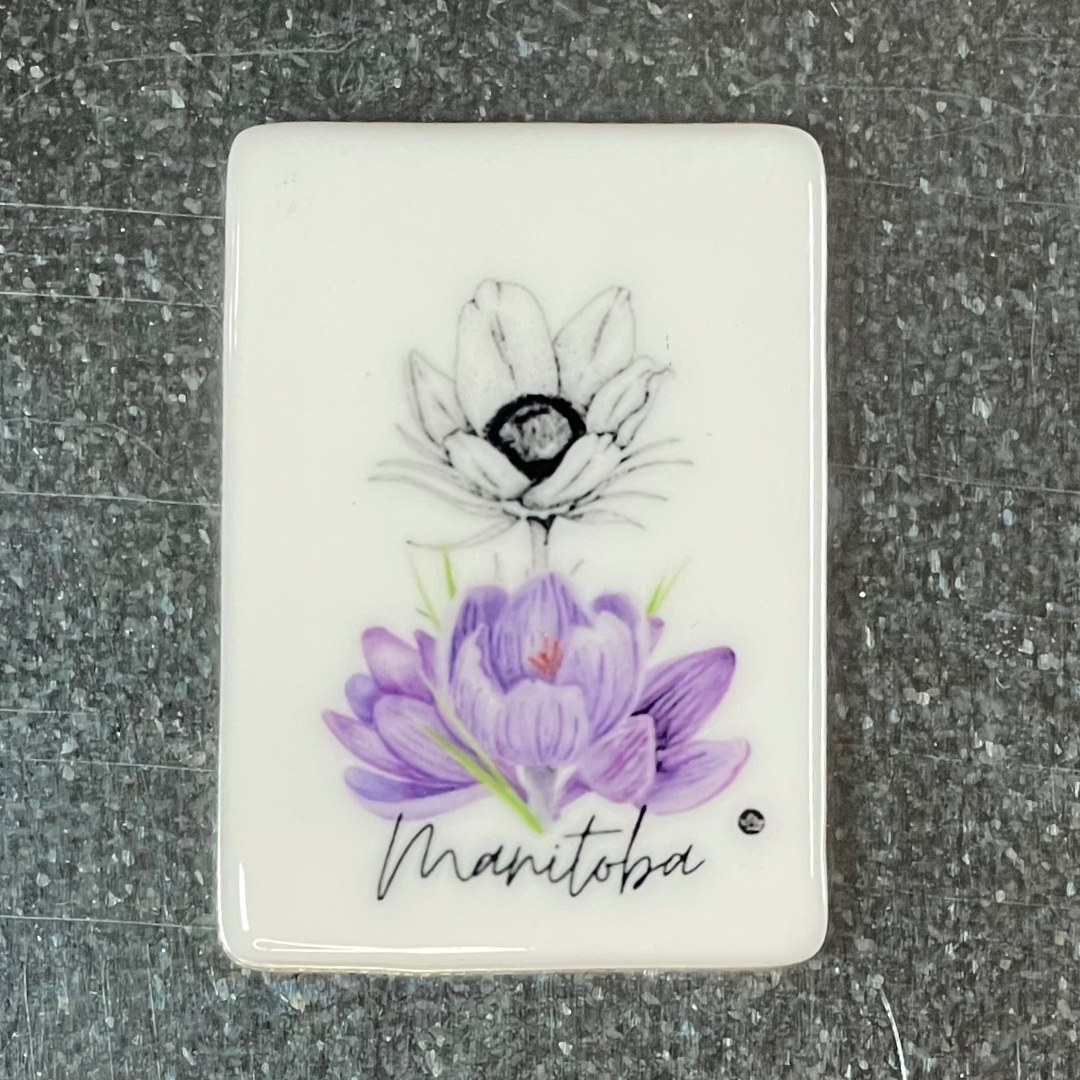 Bring a piece of the Prairies into your home with our vibrant, nostalgia-filled fridge magnets! Whether you're gifting someone special or adding a touch of local charm to your own space, these magnets are a perfect keepsake that celebrates Saskatchewan, Alberta, and Manitoba.
With bold colors, classic Prairie imagery, and handcrafted details, these magnets make a thoughtful gift for friends and family near or far. Add them to a custom gift box or collect them as a reminder of the wide-open skies, golden fi