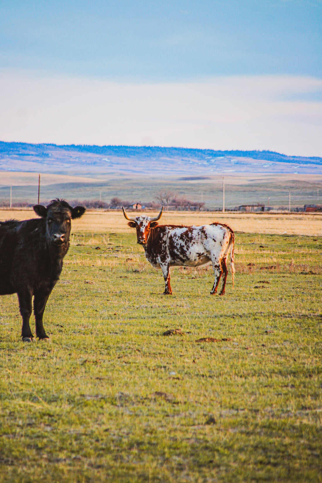 🌾 Top 5 Places to Visit in Saskatchewan This Summer