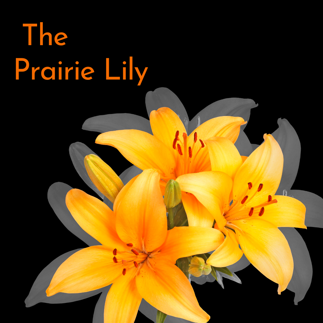 Embracing Saskatchewan's Provincial Flower